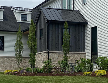 The Premium Experience of Guided Plant Selection: Crafting Your Custom Landscape
