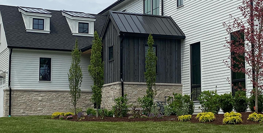 The Premium Experience of Guided Plant Selection: Crafting Your Custom Landscape