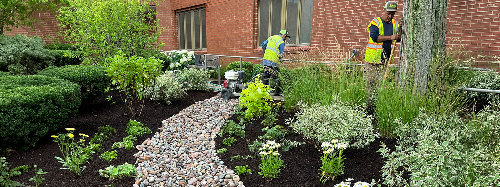 Professionally landscaped garden with mulch beds, ornamental shrubs, and stepping stones in Westmont, IL