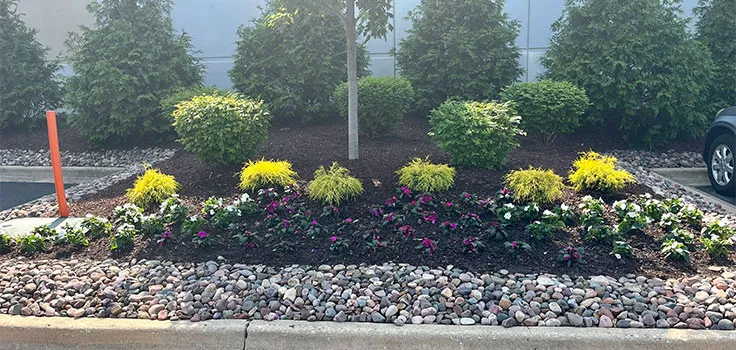 Commercial landscape bed maintenance parking lot