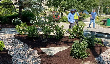 Commercial landscape installation finished bed