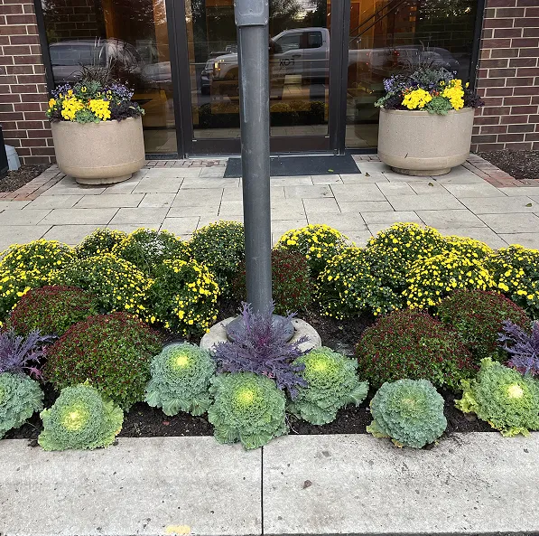 Fox Landscape design project in Westmont, IL