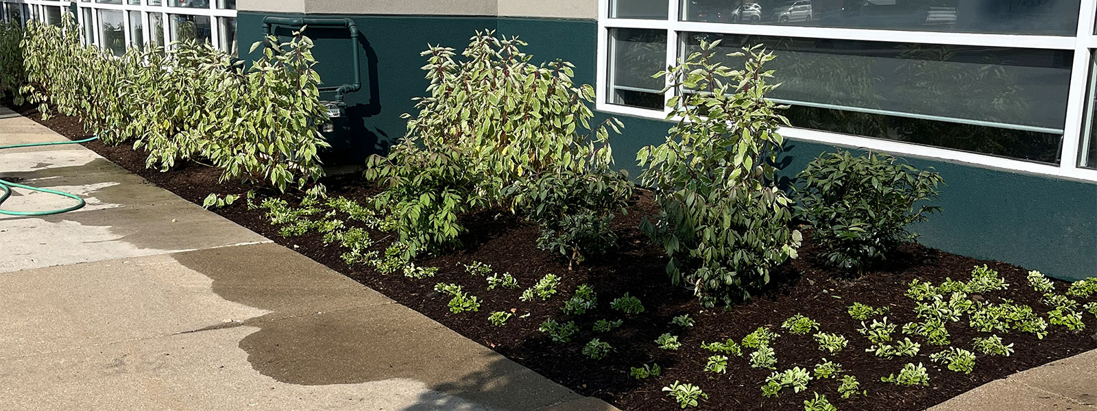 Commercial planting installation