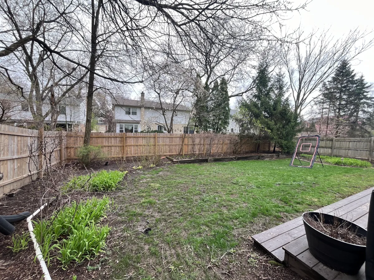 Hinsdale backyard before grading and landscape renovation with patchy lawn and uneven planting areas