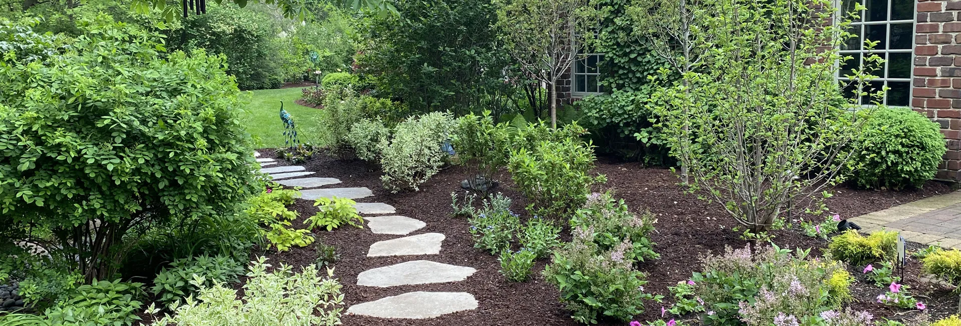 Beautifully landscaped garden with stepping stone path and lush greenery in Westmont, IL