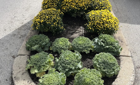 Commercial landscaping at building entrance in Westmont, IL