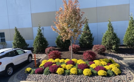 Commercial drainage pathway and landscape installation