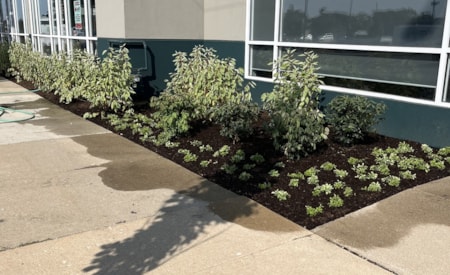 Commercial sidewalk plantings and landscape maintenance