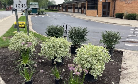Commercial green space with ornamental fence plantings