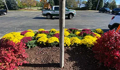 Seasonal Commercial Landscape Maintenance