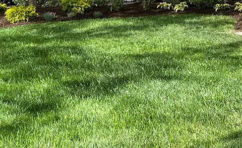 Custom outdoor living space design in Westmont, IL