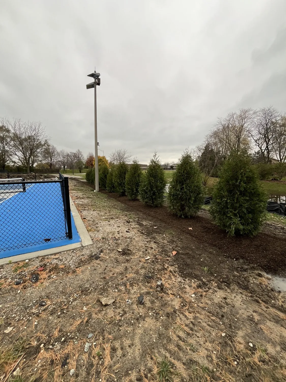 Professional grading and drainage solutions in Westmont, IL